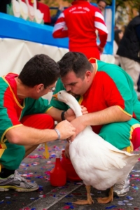 Corsa delle oche
