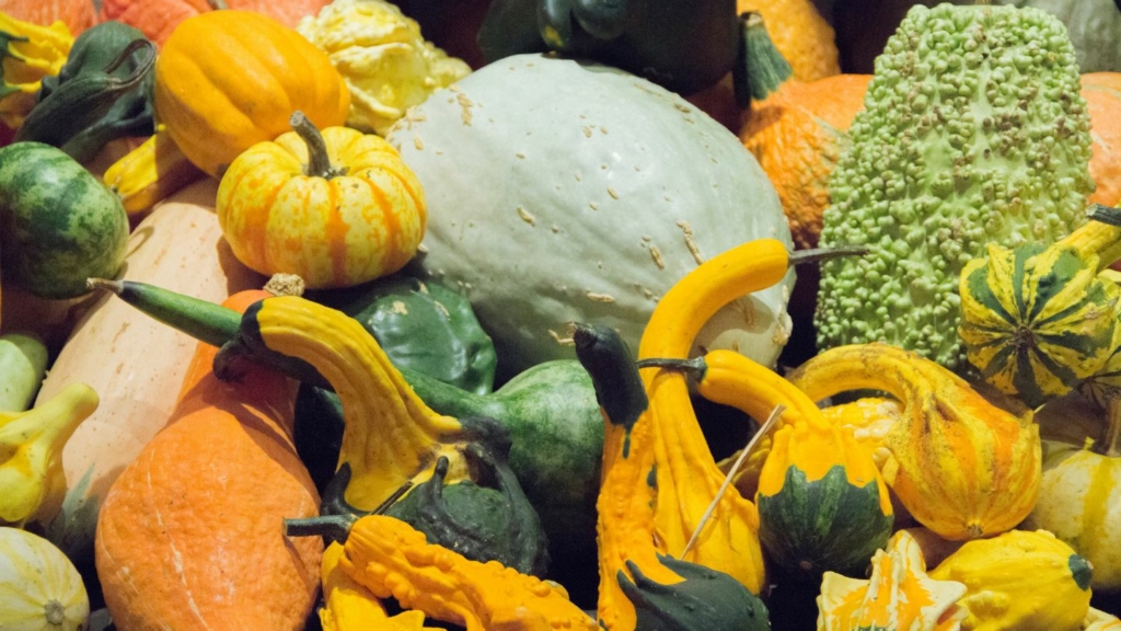 Autunno Ciarlasco – Palio dell’Oca